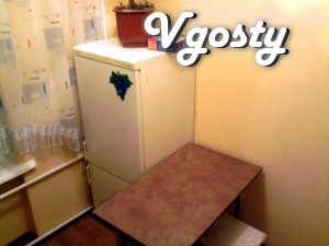 Flat, comfortable, near the city center. With the renovation, constant - Apartments for daily rent from owners - Vgosty