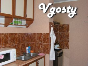 Cozy, round the clock hot water, clean linen. Next - Apartments for daily rent from owners - Vgosty