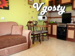 One bedroom apartment in the new house. - Apartments for daily rent from owners - Vgosty