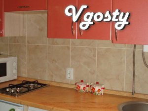 Short term rent one - room apartment "suite" on the street. - Apartments for daily rent from owners - Vgosty