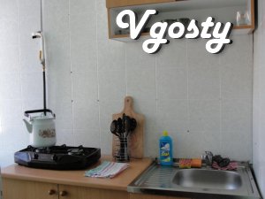 Center. One room for rent. - Apartments for daily rent from owners - Vgosty