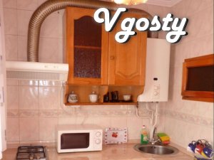 its comfortable 2 bedroom Lenin Street - Apartments for daily rent from owners - Vgosty