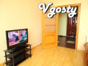 Apartments for rent large (60kv.m) studio - Apartments for daily rent from owners - Vgosty