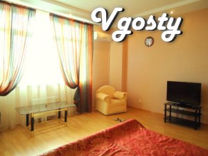 Apartments for rent large (60kv.m) studio - Apartments for daily rent from owners - Vgosty