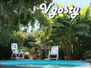The cozy guest rooms - Apartments for daily rent from owners - Vgosty