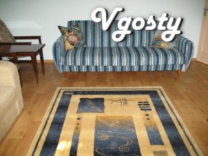 Cosy apartment in the center - Apartments for daily rent from owners - Vgosty