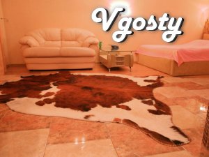 Luxury apartment in the city center - Apartments for daily rent from owners - Vgosty