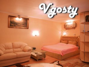 Шикарна квартира в центрі міста - Квартири подобово без посередників - Vgosty