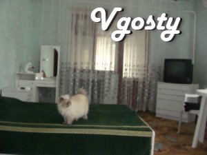 Rent a house (sauna) for rent - Apartments for daily rent from owners - Vgosty