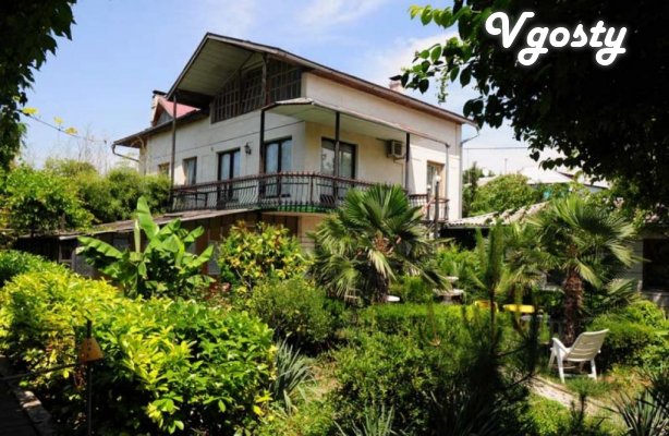 Guest house near the sea in the center - Apartments for daily rent from owners - Vgosty