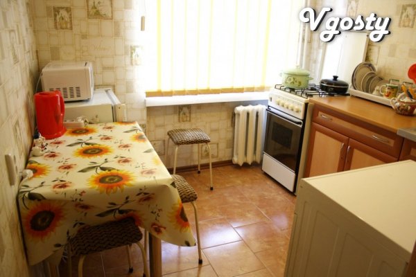 A cozy, fresh, modern apartment. air-conditioning, WI-FI - Apartments for daily rent from owners - Vgosty