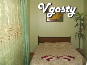 Tsentr.Lyuks.Wi-Fi.Konditsioner.Transfer. - Apartments for daily rent from owners - Vgosty