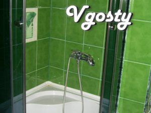 Tsentr.Lyuks.Wi-Fi.Konditsioner.Transfer. - Apartments for daily rent from owners - Vgosty