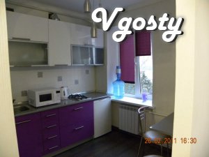 Comfortable apartment with a good repair. There is a whole - Apartments for daily rent from owners - Vgosty