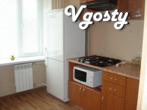 Daily 1 to. square-ra in the city center, renovation. Of. documents - Apartments for daily rent from owners - Vgosty