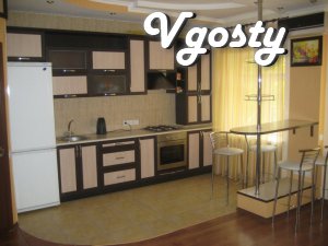 1 room studio - Apartments for daily rent from owners - Vgosty