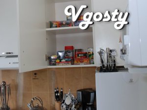 2-кімнатна квартира V.I.P. рівня з новим сучасним - Квартири подобово без посередників - Vgosty