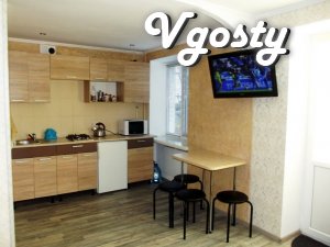I rent a new studio apartment near Rink in Truskavets - Apartments for daily rent from owners - Vgosty