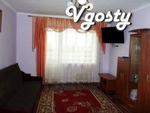 Nice new studio apartment in Truskavets on the contrary Rink - Apartments for daily rent from owners - Vgosty