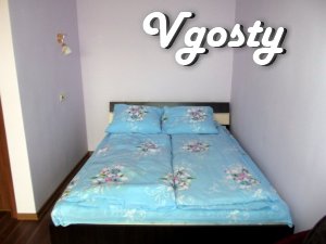 Nice new studio apartment in Truskavets on the contrary Rink - Apartments for daily rent from owners - Vgosty