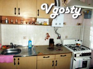 Apartment opposite the market in Truskavets by Ivasiuk 7 - Apartments for daily rent from owners - Vgosty