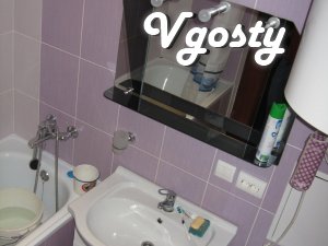 One bedroom apartment in front of 'the market' in Truskavets - Apartments for daily rent from owners - Vgosty
