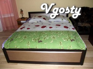 Однокімнатна VIP квартира в центрі міста Трускавець - Квартири подобово без посередників - Vgosty