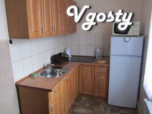 Rent a house near the hospital turnkey Kozijavkin in Truskavets - Apartments for daily rent from owners - Vgosty