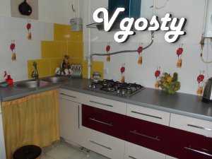 Rent a house in the center of elitny Truskavetc - Apartments for daily rent from owners - Vgosty