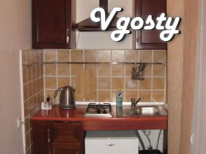 One bedroom apartment in the center of Uzhgorod - Apartments for daily rent from owners - Vgosty