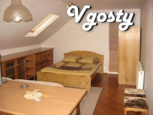 One bedroom apartment in the center of Uzhgorod - Apartments for daily rent from owners - Vgosty