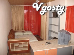 2-bedroom apartment in the center of Uzhgorod - Apartments for daily rent from owners - Vgosty