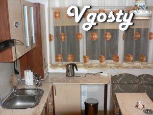 2-level apartment in the center of Uzhgorod - Apartments for daily rent from owners - Vgosty