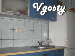 Posutochko 2 rooms - Apartments for daily rent from owners - Vgosty