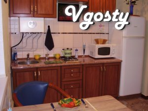 Apartment for rent in the center of Kherson. Next: Museums, River - Apartments for daily rent from owners - Vgosty