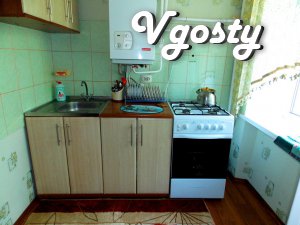 Rent 2-room apartment in the resort near Khmilnyk Radon - Apartments for daily rent from owners - Vgosty