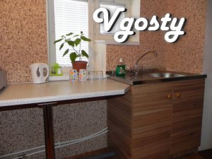 Apartments for rent (CENTER) WI-FI - Apartments for daily rent from owners - Vgosty