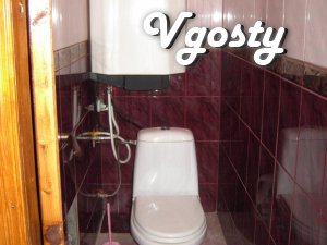 Rent in Downtown-250g - Apartments for daily rent from owners - Vgosty
