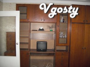 Clean, comfortable apartment in 5 minutes from the center - Apartments for daily rent from owners - Vgosty