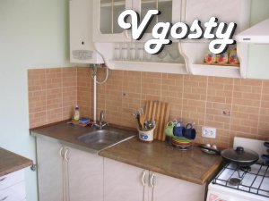 Individual approach, the system of discounts. - Apartments for daily rent from owners - Vgosty