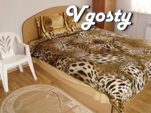 1k evrokvartira in the center of the day - Apartments for daily rent from owners - Vgosty