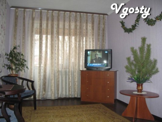 Comfortable apartment in the city tsenre - Apartments for daily rent from owners - Vgosty