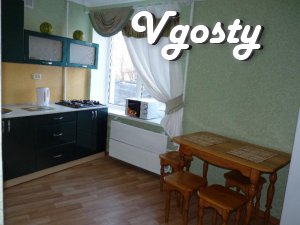 1 BR. Blvd. In the center of the day 'VIP' - Apartments for daily rent from owners - Vgosty