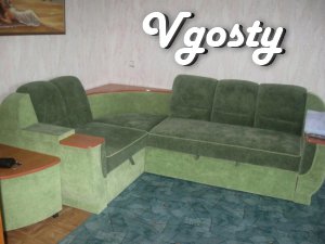 The apartment is good near the center - Apartments for daily rent from owners - Vgosty