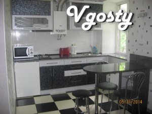 1 bedroom apartment in the city center. - Apartments for daily rent from owners - Vgosty