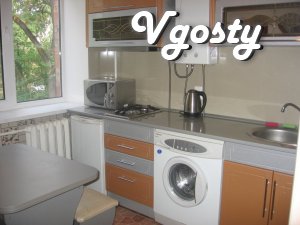 1 bedroom posutochno.WI-FI.Tsentr.Bez intermediaries. - Apartments for daily rent from owners - Vgosty