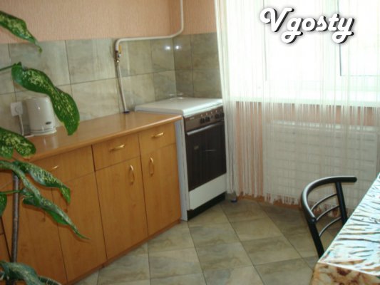 Rent 1 room apartment for rent. Downtown - Apartments for daily rent from owners - Vgosty