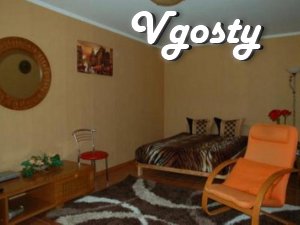 1- room apartment for rent in the center of - Apartments for daily rent from owners - Vgosty