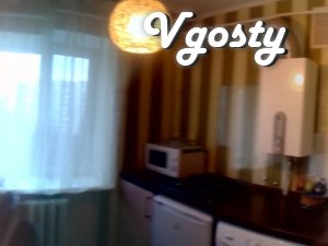 Mestonahozhdenye: in a central part of the city (vozle - Apartments for daily rent from owners - Vgosty