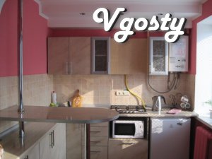Daily and hourly two-square-ra - studios in the center with Wi-Fi - Apartments for daily rent from owners - Vgosty